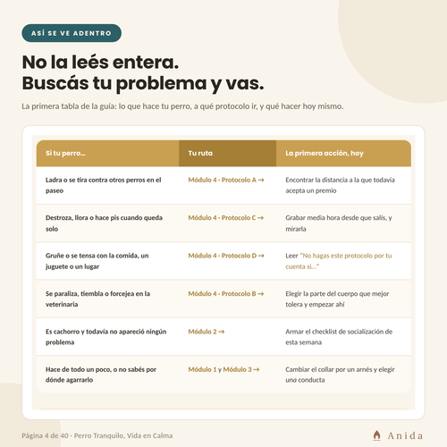 Selector de rutas: qué hace tu perro y por dónde empezar
