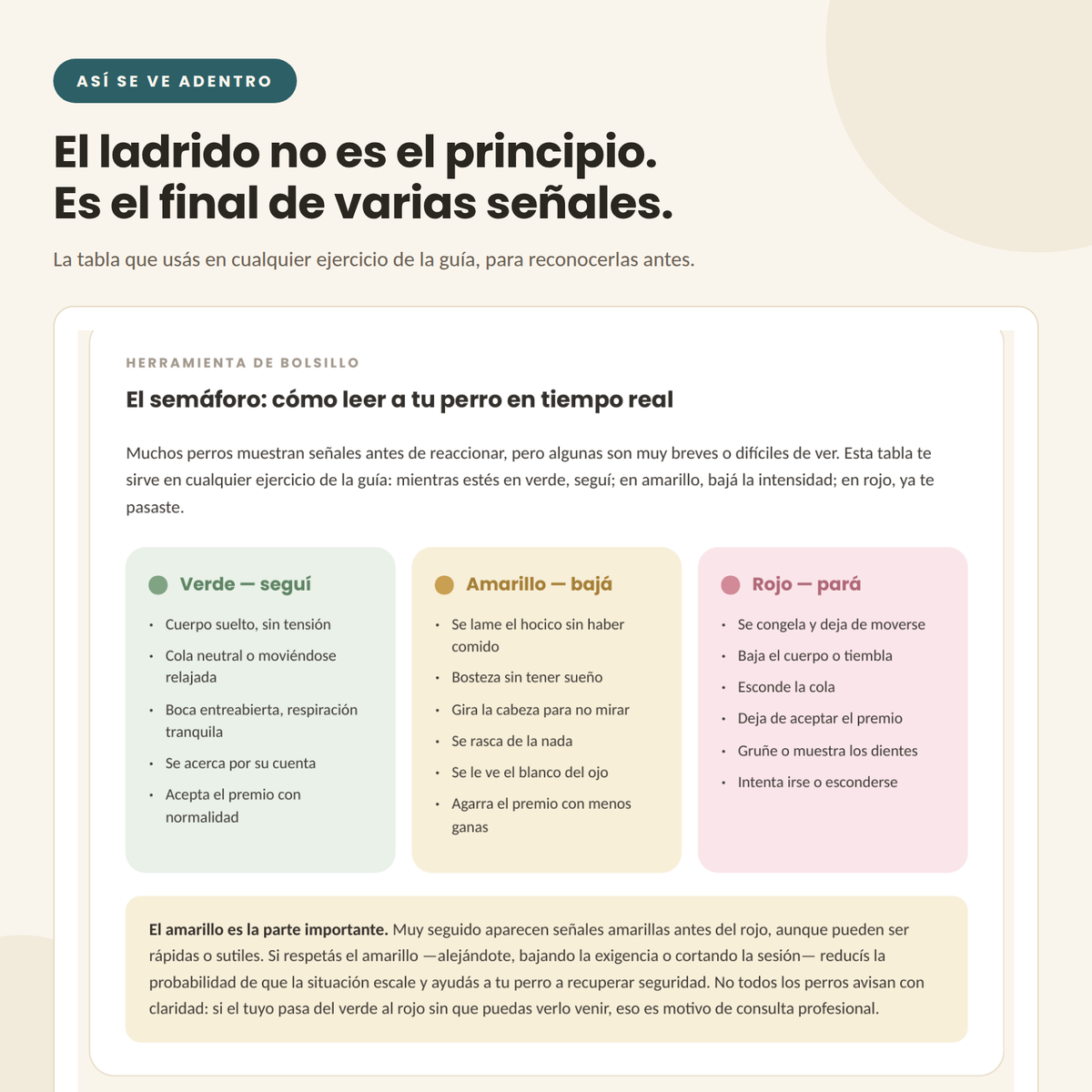 El semáforo corporal: las señales antes de que tu perro reaccione