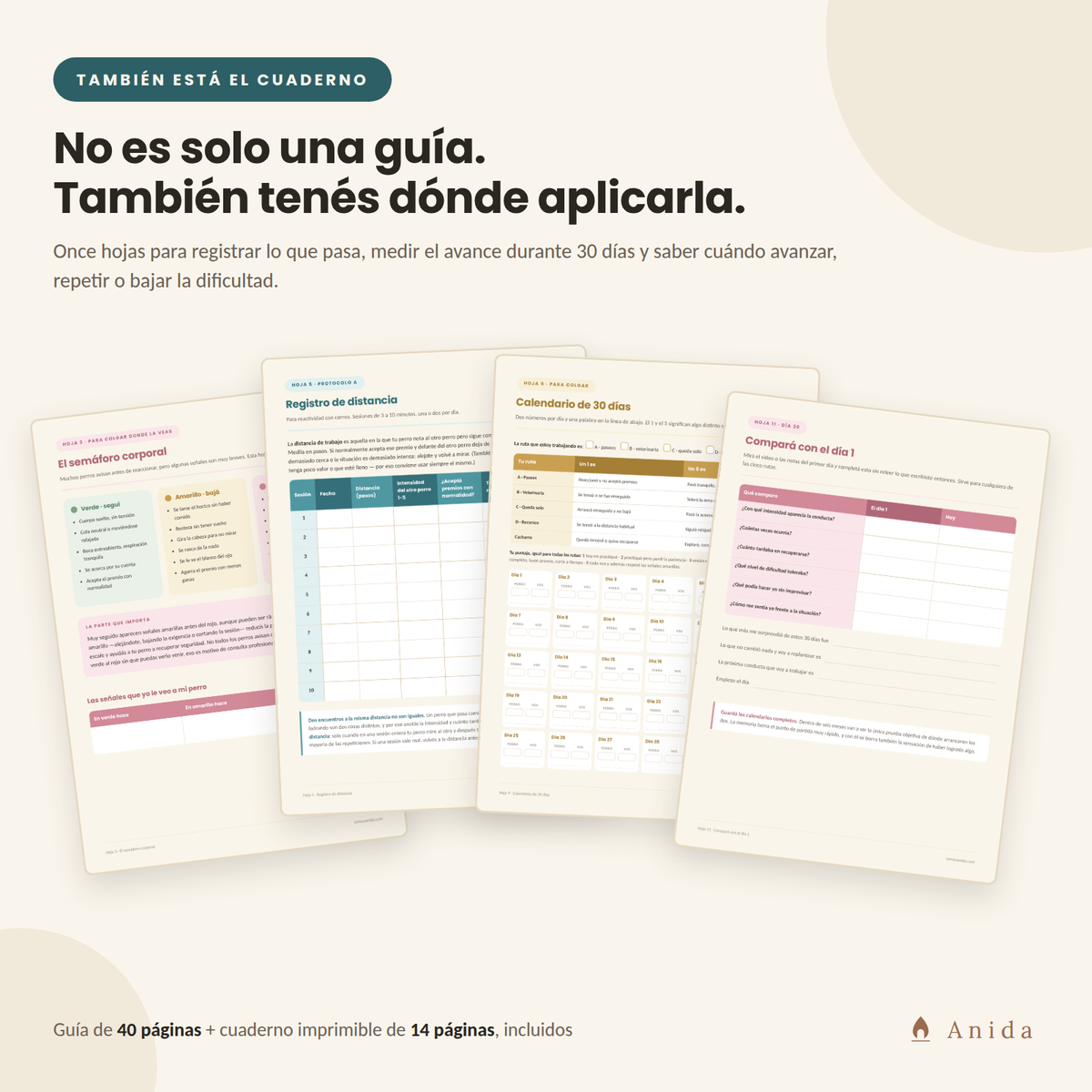 Cuaderno práctico imprimible de 14 páginas