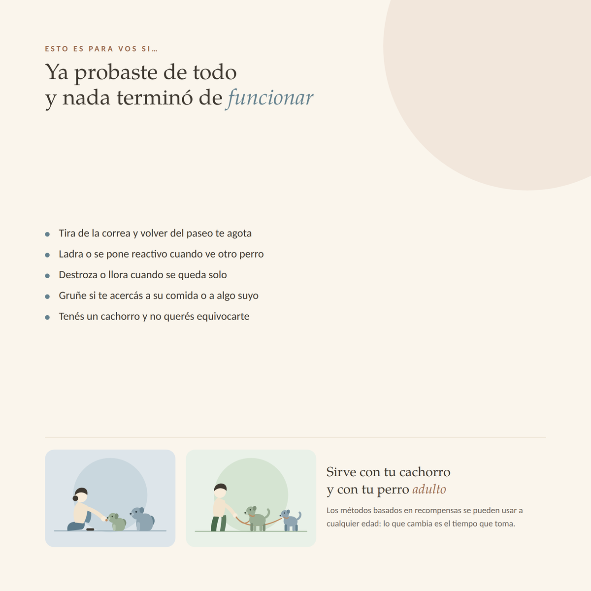 Para quién es la guía