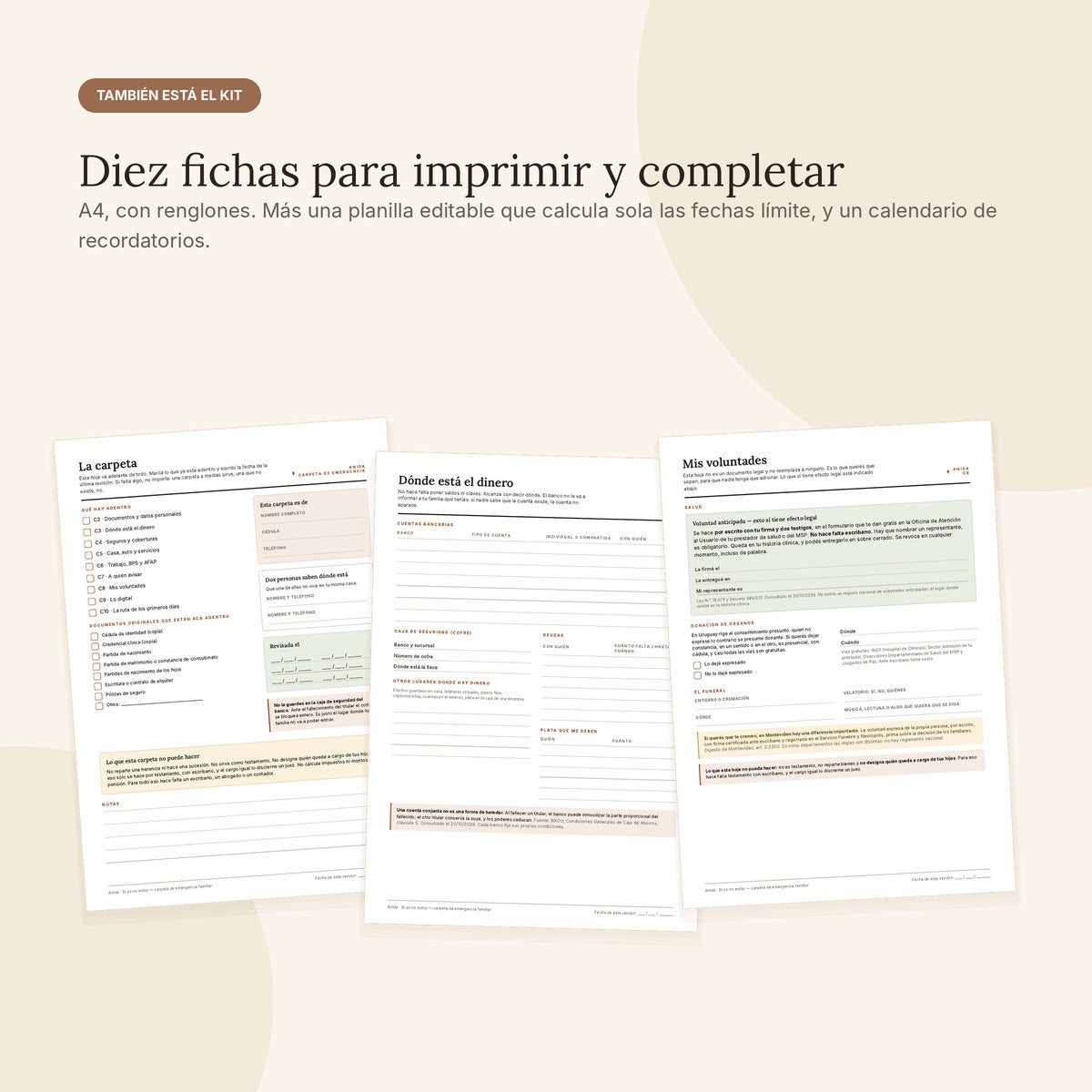 Si yo no estoy — La carpeta de emergencia familiar, Edición Uruguay