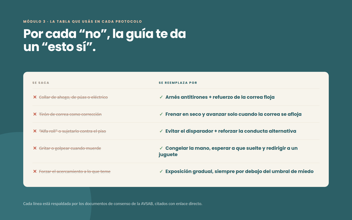 Por cada “no”, la guía te da un “esto sí”.
