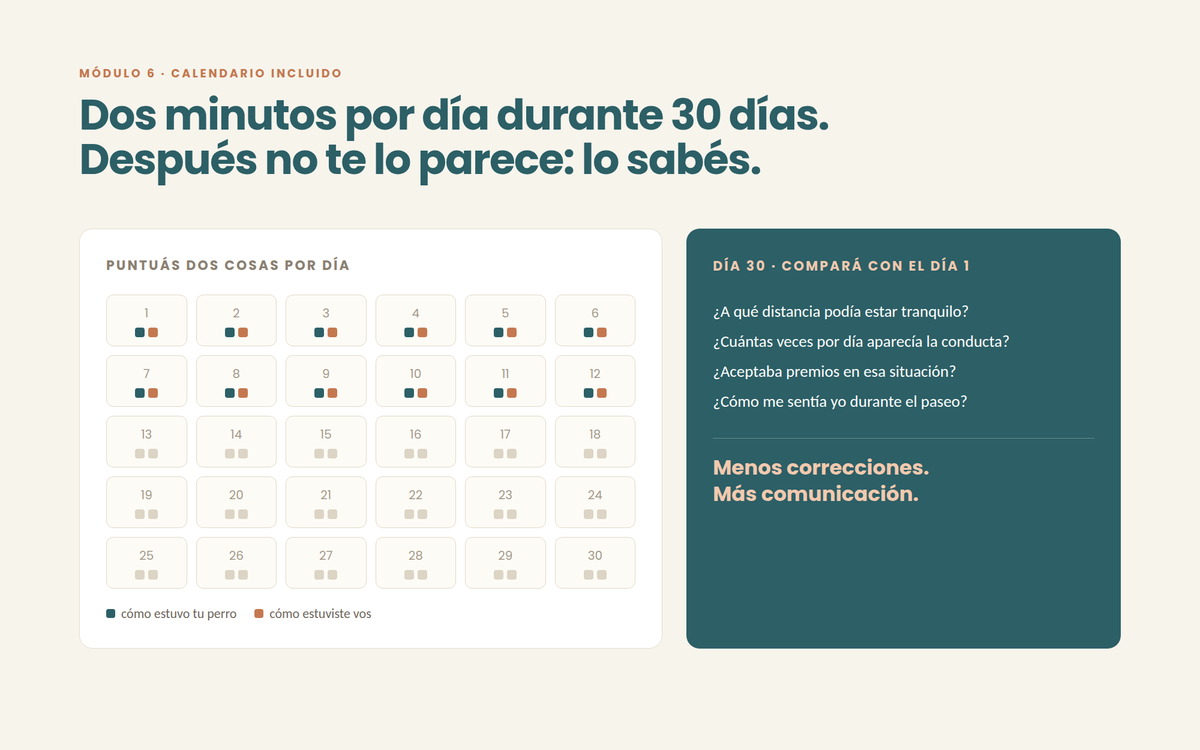 Antes y después
